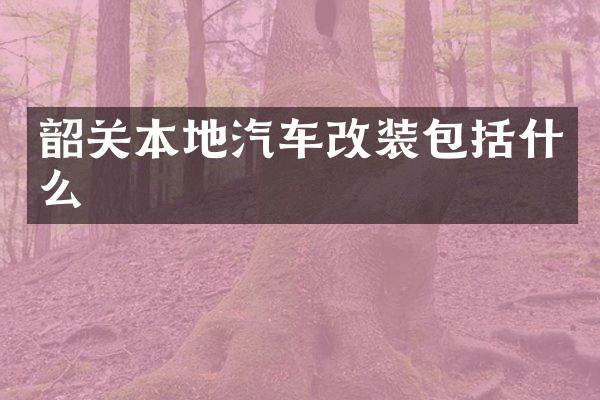韶关本地汽车改装包括什么