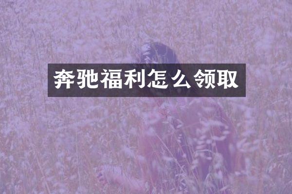 奔驰福利怎么领取