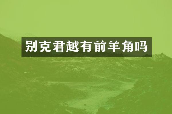 别克君越有前羊角吗