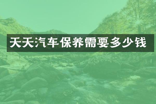 天天汽车保养需要多少钱