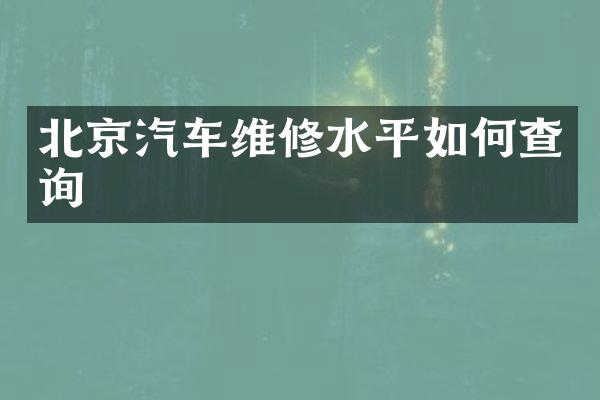 北京汽车维修水平如何查询
