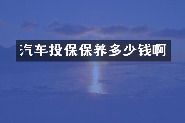 汽车投保保养多少钱啊