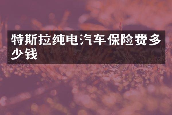 特斯拉纯电汽车保险费多少钱