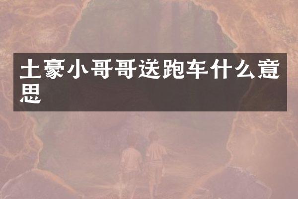 土豪小哥哥送跑车什么意思
