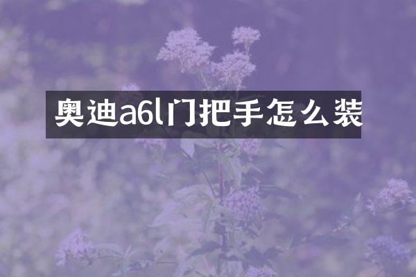 奥迪a6l门把手怎么装