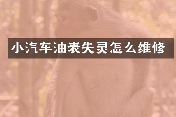 小汽车油表失灵怎么维修