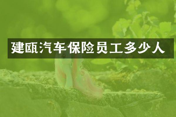 建瓯汽车保险员工多少人
