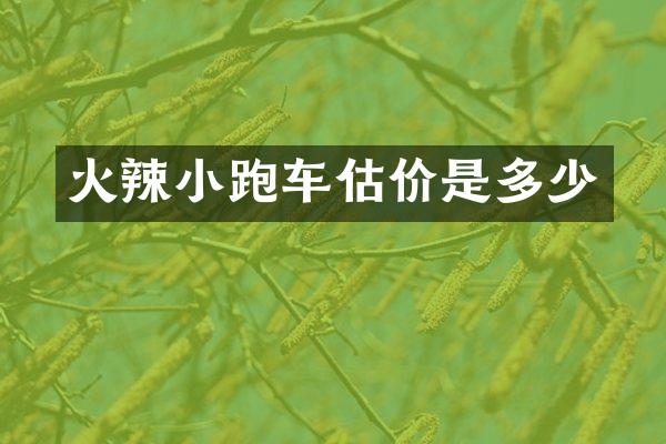 火辣小跑车估价是多少