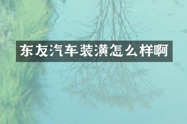 东友汽车装潢怎么样啊