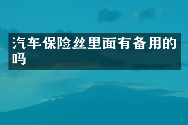 汽车保险丝里面有备用的吗