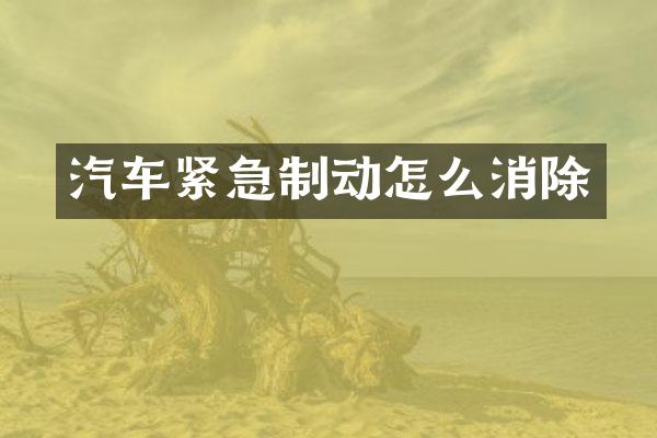 汽车紧急制动怎么消除