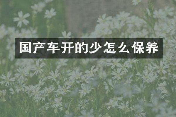 国产车开的少怎么保养