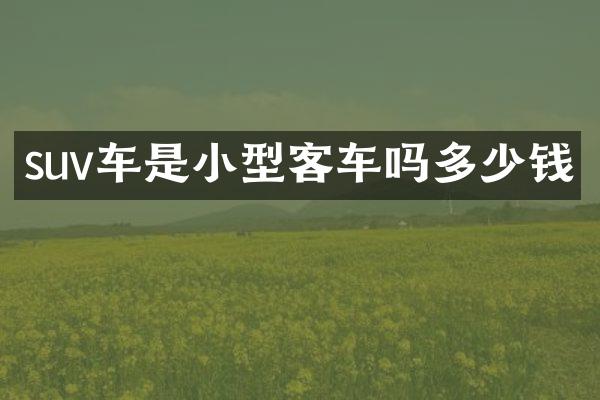 suv车是小型客车吗多少钱