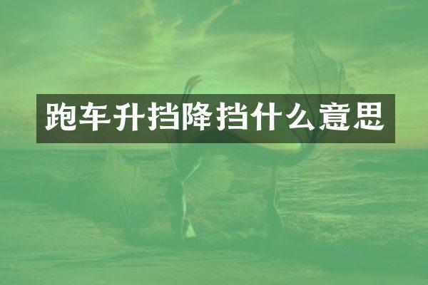 跑车升挡降挡什么意思