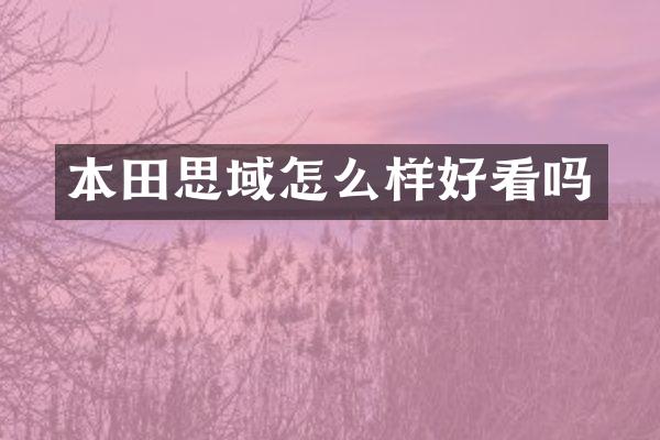 本田思域怎么样好看吗