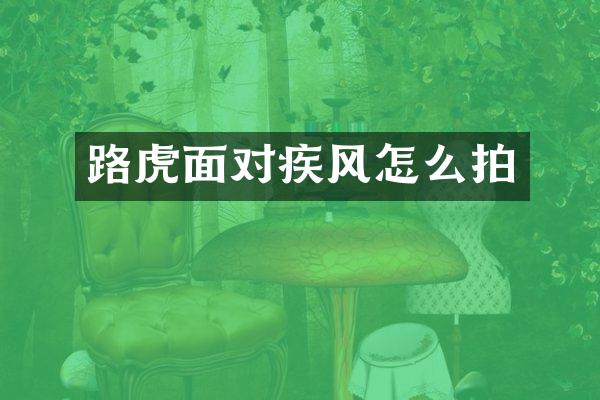 路虎面对疾风怎么拍