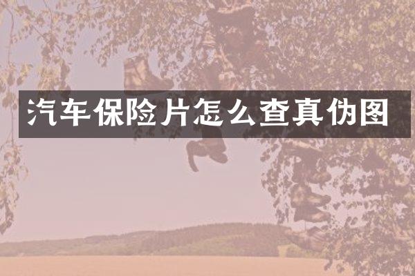 汽车保险片怎么查真伪图