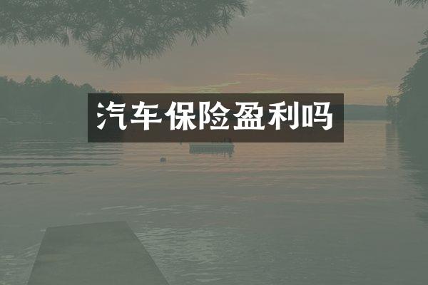 汽车保险盈利吗