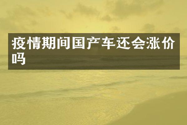 疫情期间国产车还会涨价吗