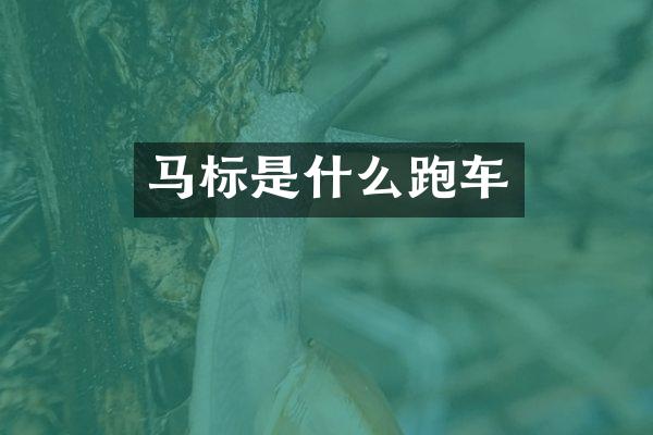 马标是什么跑车