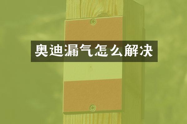 奥迪漏气怎么解决