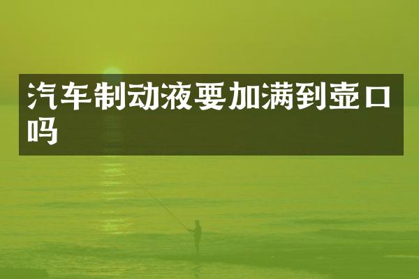 汽车制动液要加满到壶口吗