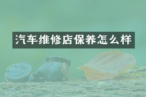 汽车维修店保养怎么样