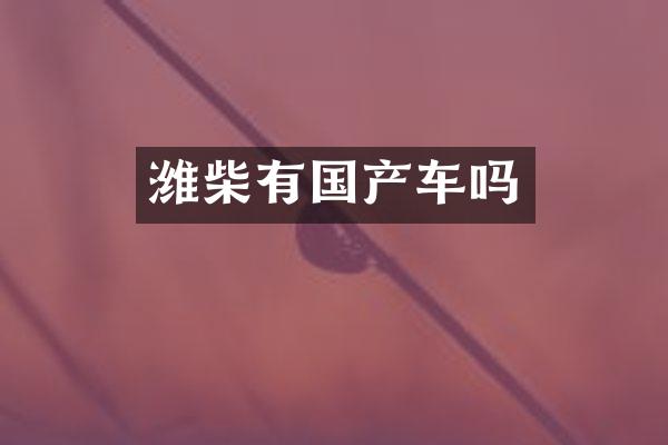 潍柴有国产车吗