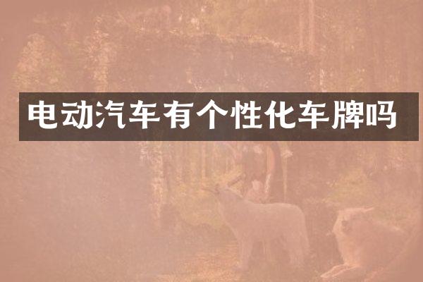 电动汽车有个性化车牌吗