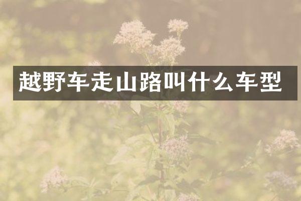 越野车走山路叫什么车型