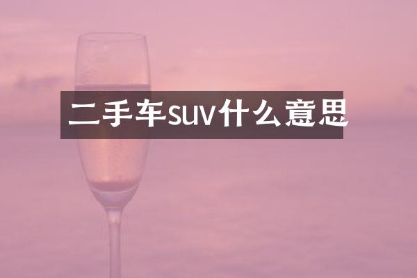 二手车suv什么意思