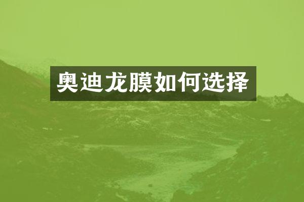 奥迪龙膜如何选择