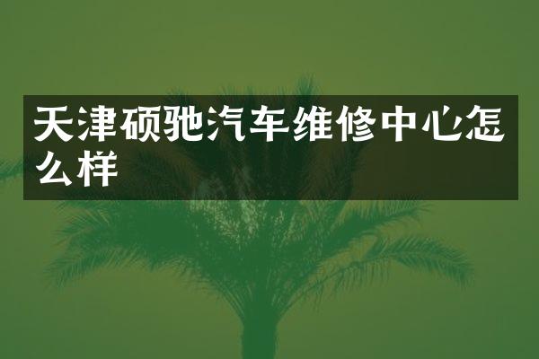 天津硕驰汽车维修中心怎么样