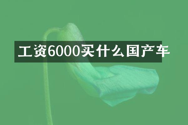 工资6000买什么国产车