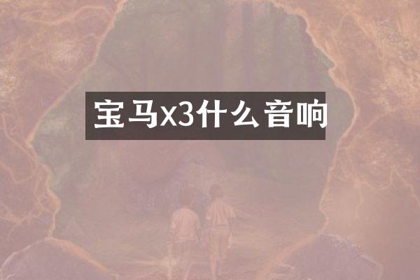 宝马x3什么音响