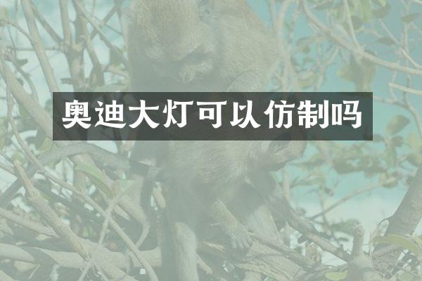 奥迪大灯可以仿制吗