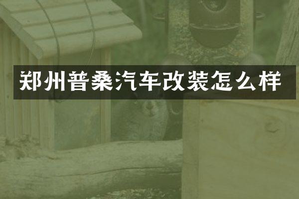 郑州普桑汽车改装怎么样
