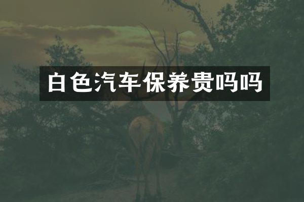 白色汽车保养贵吗吗