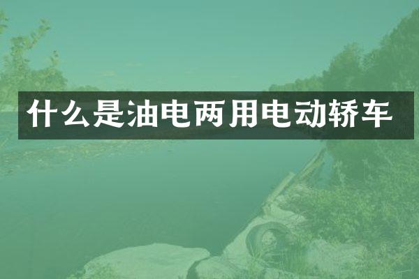 什么是油电两用电动轿车