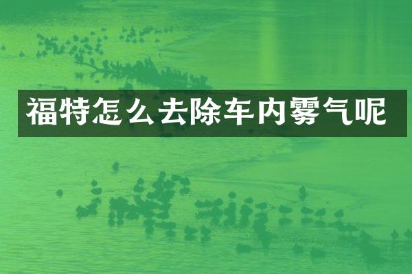 福特怎么去除车内雾气呢