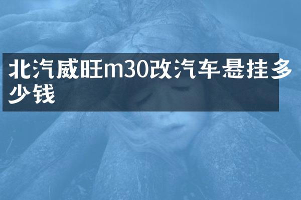 北汽威旺m30改汽车悬挂多少钱