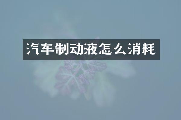 汽车制动液怎么消耗