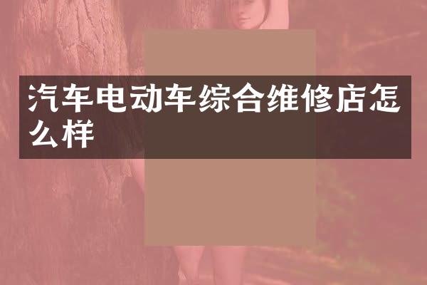 汽车电动车综合维修店怎么样