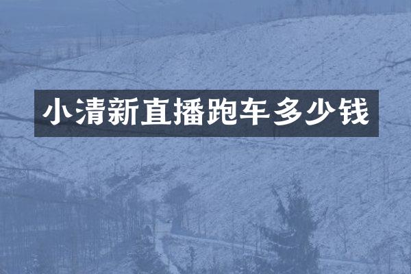 小清新直播跑车多少钱