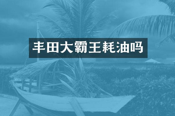 丰田大霸王耗油吗