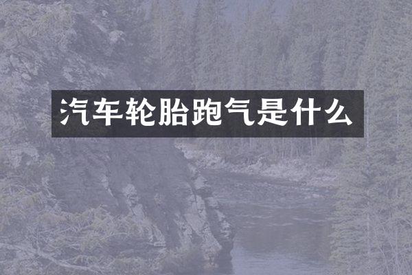 汽车轮胎跑气是什么