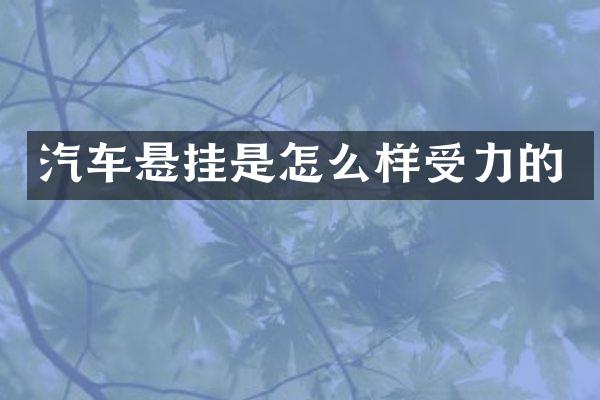 汽车悬挂是怎么样受力的
