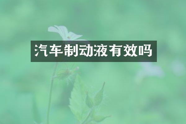 汽车制动液有效吗