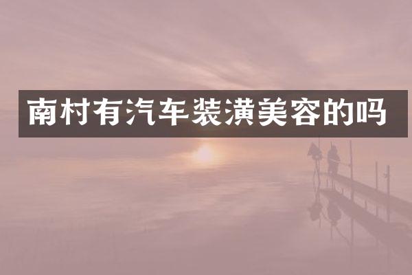 南村有汽车装潢美容的吗