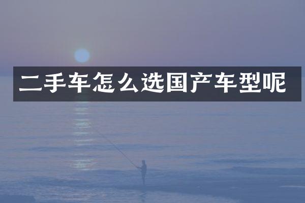 二手车怎么选国产车型呢